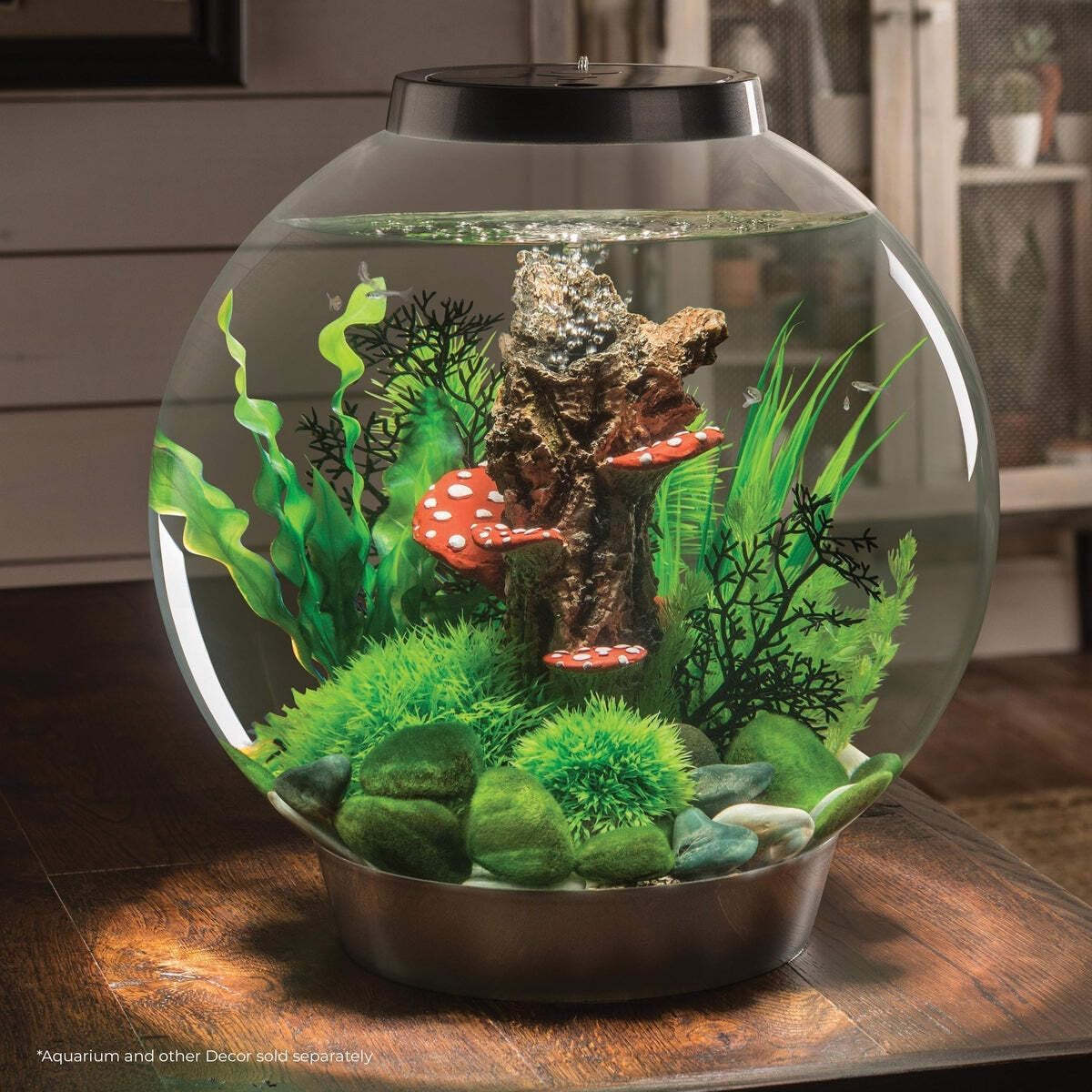 46084.0 Moss Pebbles Aquariums