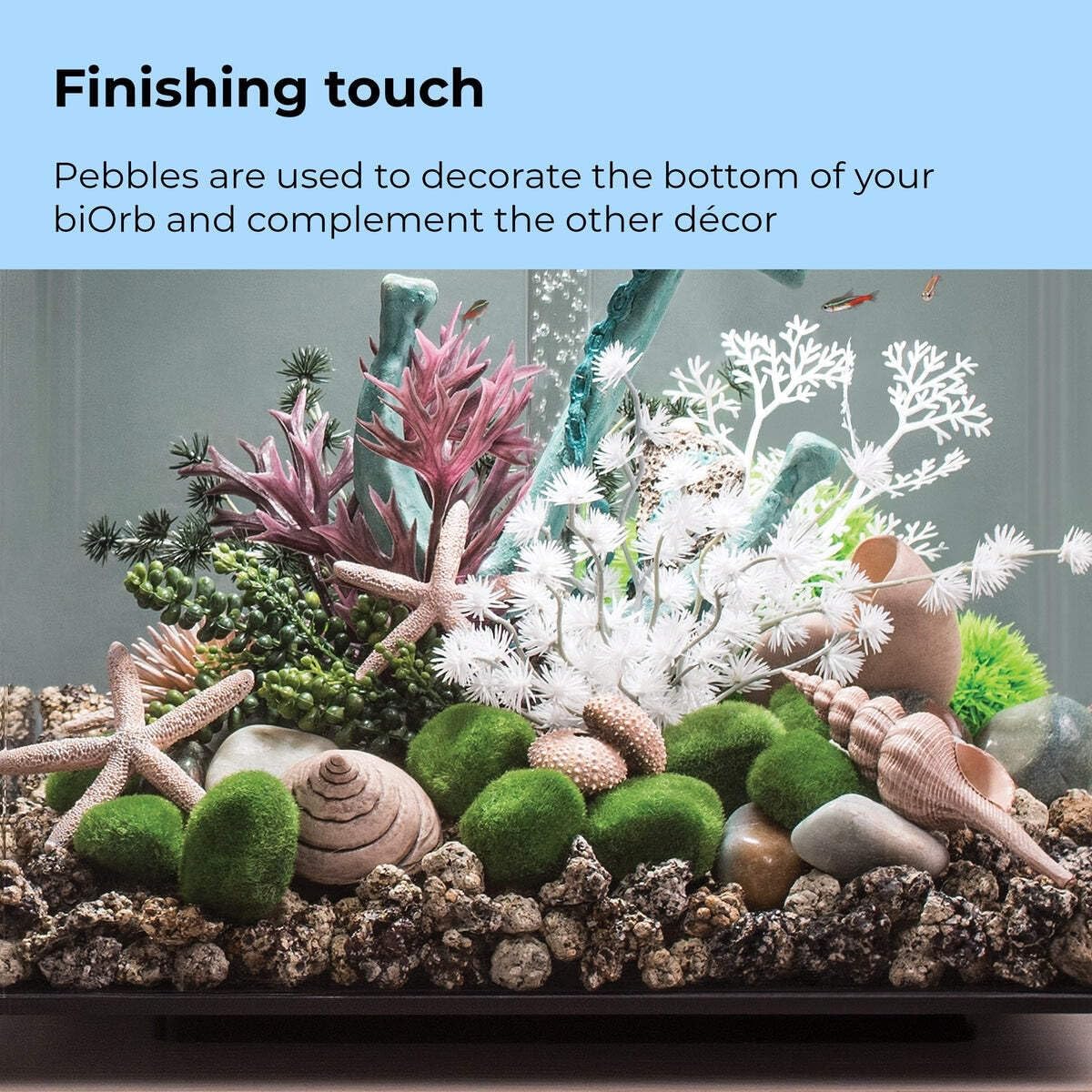 46084.0 Moss Pebbles Aquariums