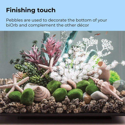 46084.0 Moss Pebbles Aquariums