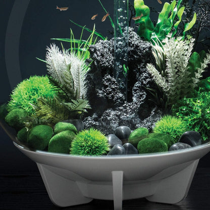 46084.0 Moss Pebbles Aquariums