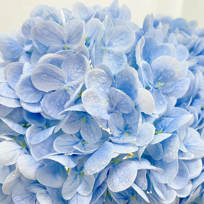 3 PCS White Hydrangea Artificial Flowers 21 inchs Real Touch Faux Hydrangea Flowers for Wedding Tables Centerpieces Fake Flowers for Party Home Kitchen Decor
