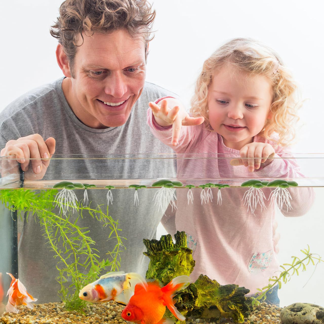 Artificial Duckweed Plant Decor 36 Pcs Floating Aquarium Plants for Fish Tank Plastic Duckweed Ornament for Aquarium Terrarium Decor Reptile Hide Water Plant Shade