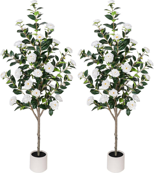 63 inch Artificial Camellia Tree with White Flower Pots -2 Pack White Fake Tree,5 Ft Faux Plants Indoor wich Blooming,Artificial Plants for Indoor & Outdoor Home Front Door Decor