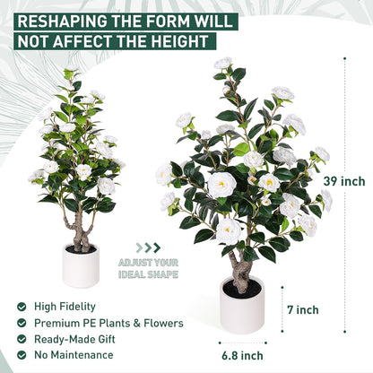 63 inch Artificial Camellia Tree with White Flower Pots -2 Pack White Fake Tree,5 Ft Faux Plants Indoor wich Blooming,Artificial Plants for Indoor & Outdoor Home Front Door Decor
