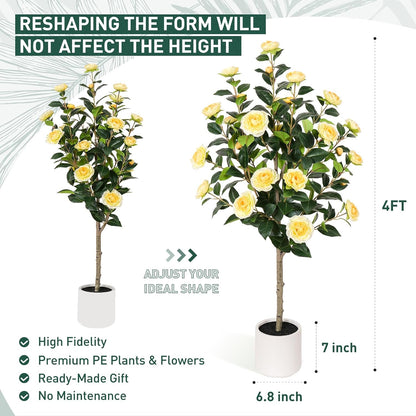63 inch Artificial Camellia Tree with White Flower Pots -2 Pack White Fake Tree,5 Ft Faux Plants Indoor wich Blooming,Artificial Plants for Indoor & Outdoor Home Front Door Decor