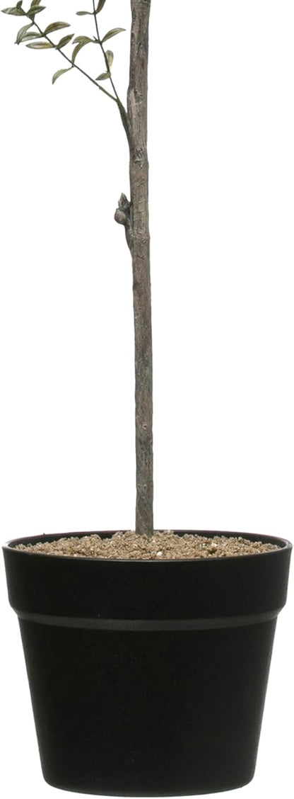 DF2615 29" H Thyme Topiary in Pot Faux Botanicals, Green