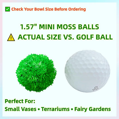12 Green Decorative Moss Balls – 1.57 Inch (Size ≈ Golf Ball), Artificial Moss Spheres for Mini Terrarium, Fairy Garden, Small Vase, Centerpiece & Home Decor