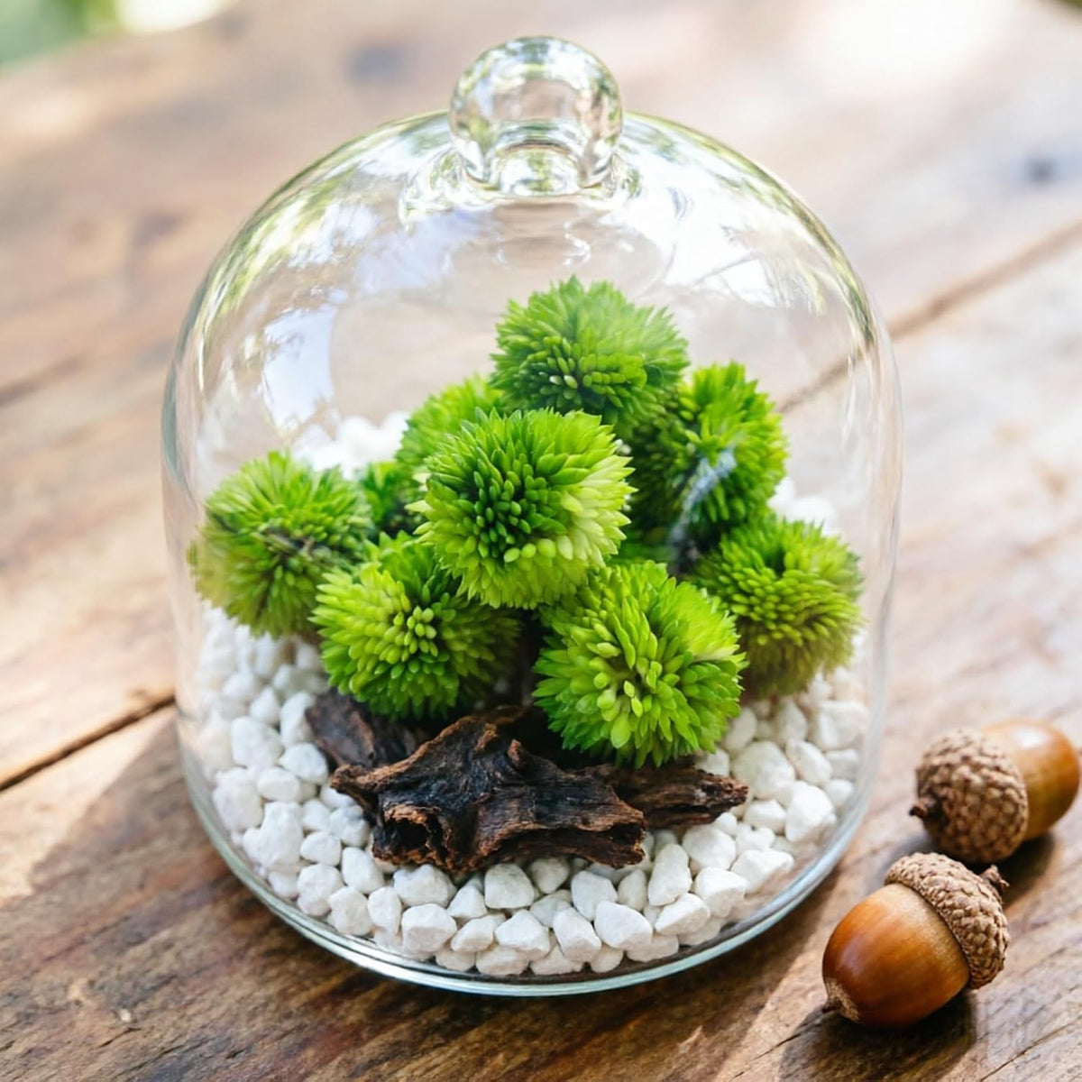 12 Green Decorative Moss Balls – 1.57 Inch (Size ≈ Golf Ball), Artificial Moss Spheres for Mini Terrarium, Fairy Garden, Small Vase, Centerpiece & Home Decor