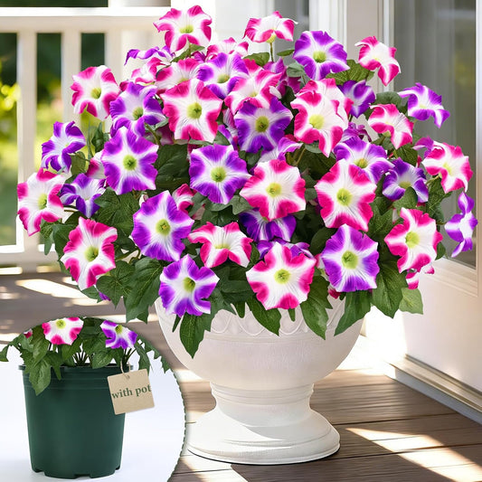 Artificial Flowers for Outdoors, 1 Potted Realistic Fake Outdoor Flowers | UV Resistant Silk Petunia Flower for Outside Look Real Faux Flower Plants in Pot for Porch Garden Decor, 20''