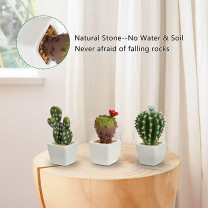 Small Artificial Cactus Plants in Ceramic Pots 6 Pcs Potted Fake Cactus