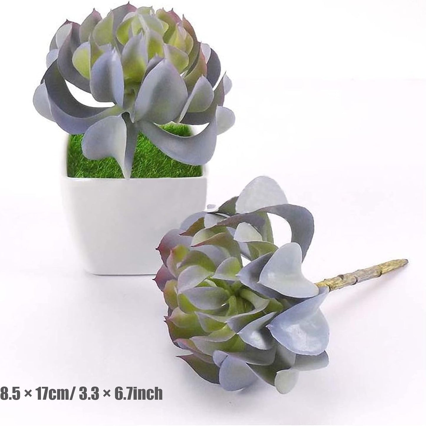 10 PCS Faux Fake Succulents Artificial Cactus Decor Faux Cactus Cacti Plant Artificial Cactus Succulent Artificial Succulent Plants for Decoration Faux Cactus Plant Bulk