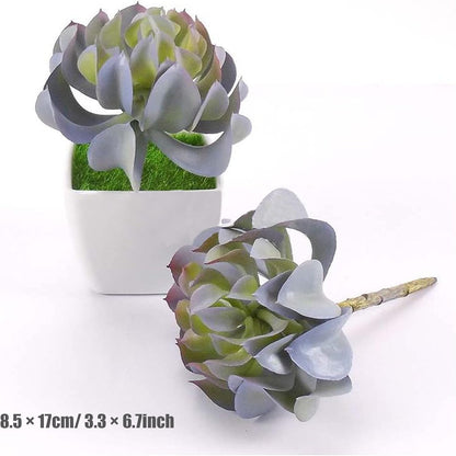 10 PCS Faux Fake Succulents Artificial Cactus Decor Faux Cactus Cacti Plant Artificial Cactus Succulent Artificial Succulent Plants for Decoration Faux Cactus Plant Bulk