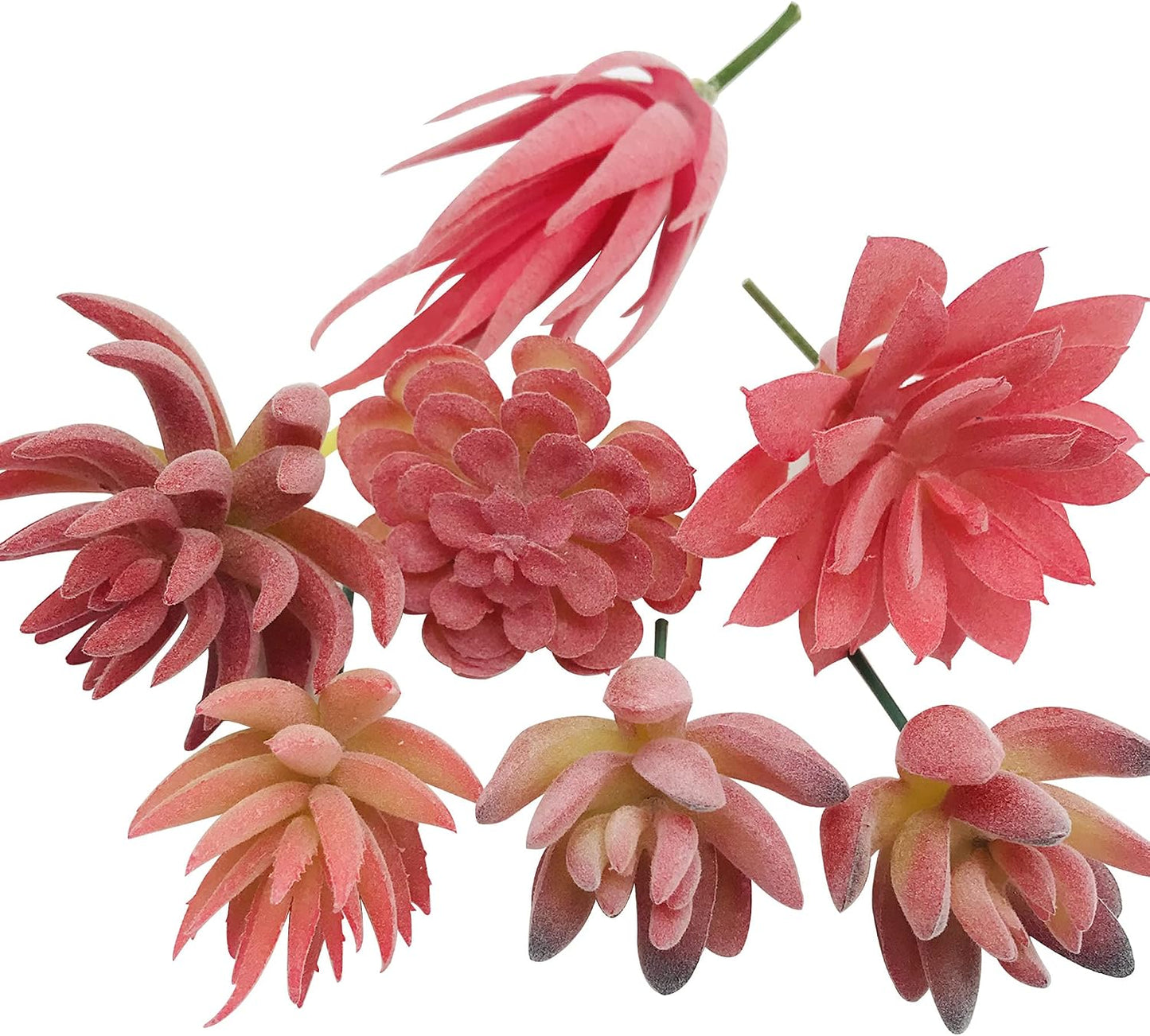 10 PCS Faux Fake Succulents Artificial Cactus Decor Faux Cactus Cacti Plant Artificial Cactus Succulent Artificial Succulent Plants for Decoration Faux Cactus Plant Bulk