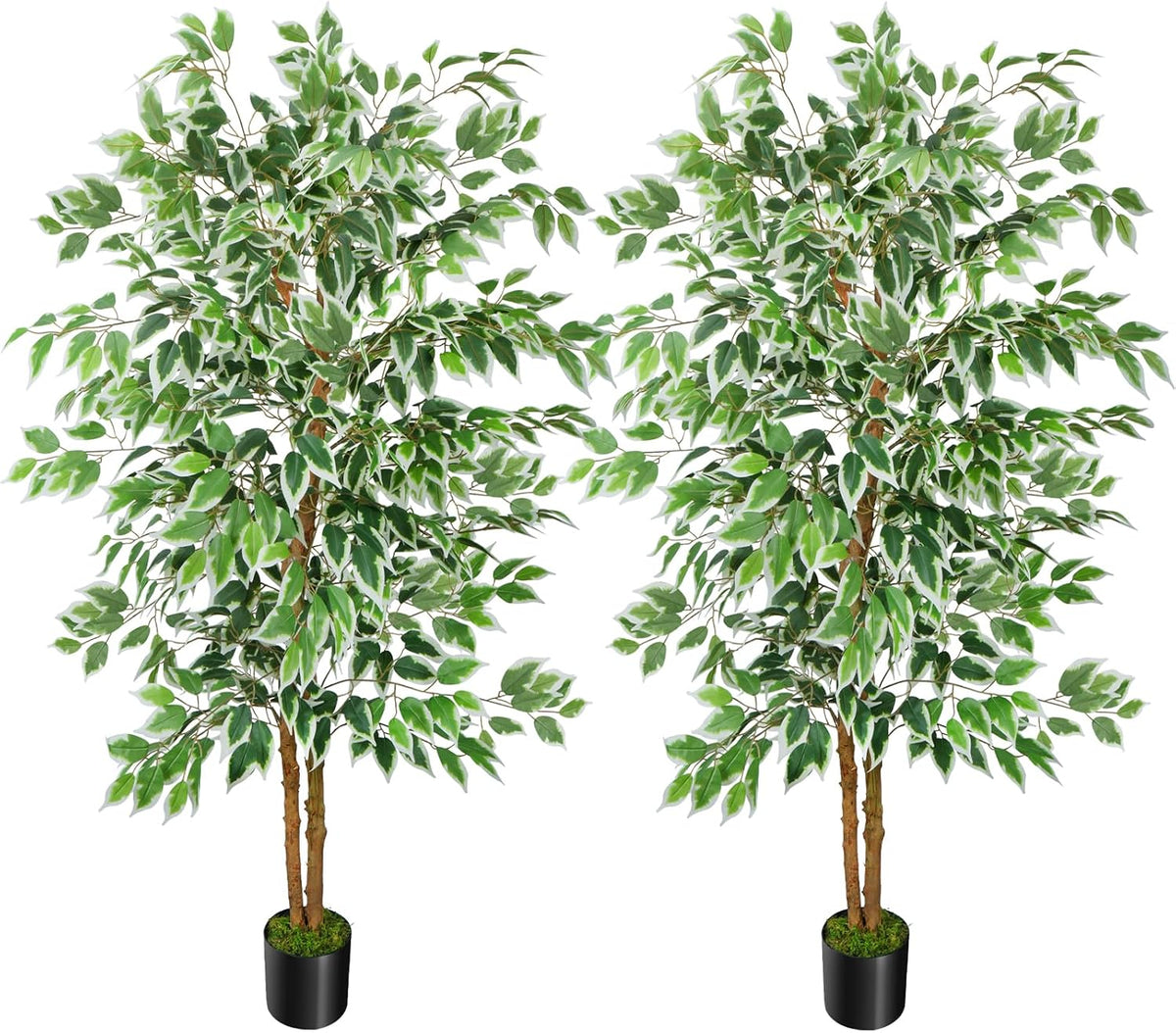 6FT Artificial Ficus Tree with Real Wood Trunks, Faux Tree Indoor