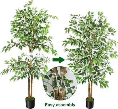 6FT Artificial Ficus Tree with Real Wood Trunks, Faux Tree Indoor