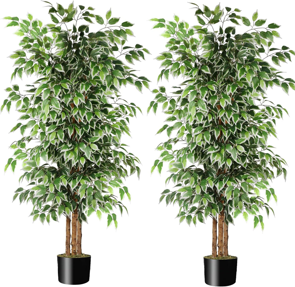 6FT Artificial Ficus Tree with Real Wood Trunks, Faux Tree Indoor