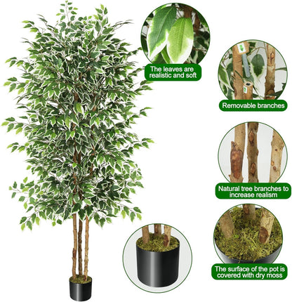 6FT Artificial Ficus Tree with Real Wood Trunks, Faux Tree Indoor