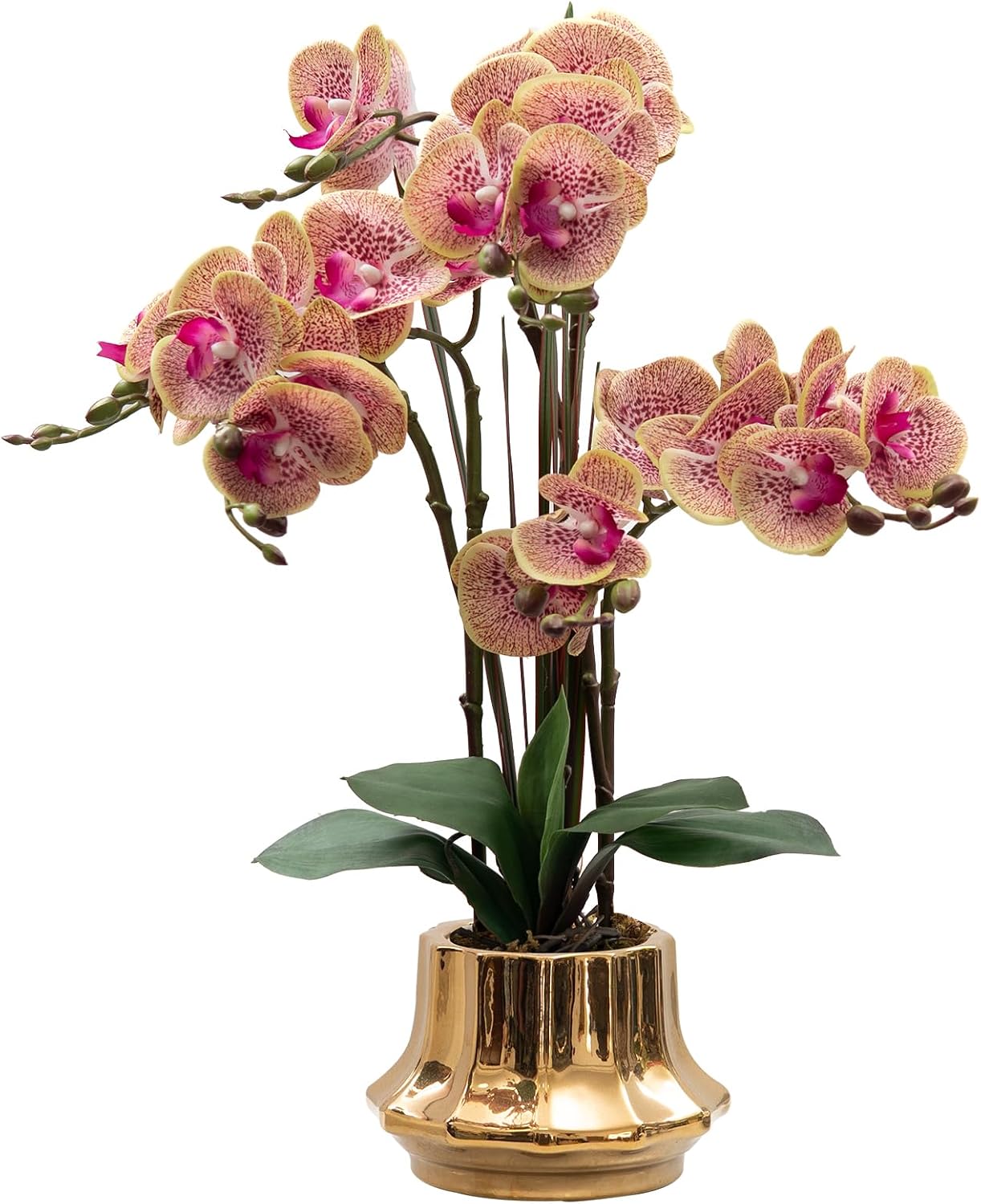 Artificial Orchid Flower Plant 20.9'' Real Touch Faux Orchids in Ceramic Vase Purple Dapple Fake Phalaenopsis Flower Arrangement Silk Orchids with Stems for Centerpiece Table Home Indoor Decor