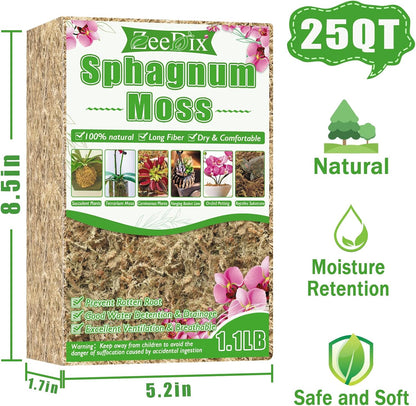 4 qt Sphagnum Moss for Indoor Plants, Natural Dried Long Fiber Moss for Orchid Repotting, Carnivorous Plants, Succulents, Monstera, Flower & Reptile Terrariums Habitats (3 oz)