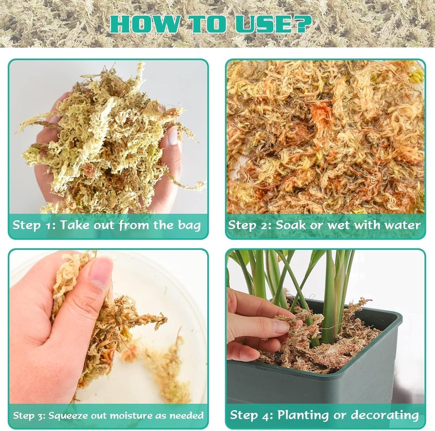 4 qt Sphagnum Moss for Indoor Plants, Natural Dried Long Fiber Moss for Orchid Repotting, Carnivorous Plants, Succulents, Monstera, Flower & Reptile Terrariums Habitats (3 oz)