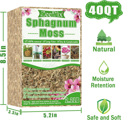 4 qt Sphagnum Moss for Indoor Plants, Natural Dried Long Fiber Moss for Orchid Repotting, Carnivorous Plants, Succulents, Monstera, Flower & Reptile Terrariums Habitats (3 oz)