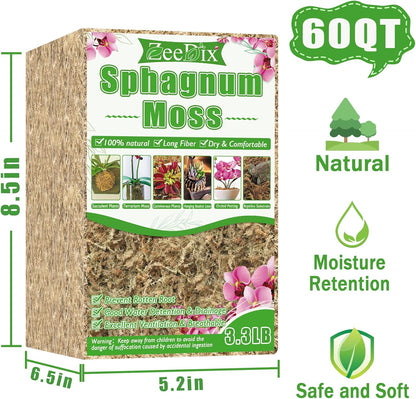 4 qt Sphagnum Moss for Indoor Plants, Natural Dried Long Fiber Moss for Orchid Repotting, Carnivorous Plants, Succulents, Monstera, Flower & Reptile Terrariums Habitats (3 oz)