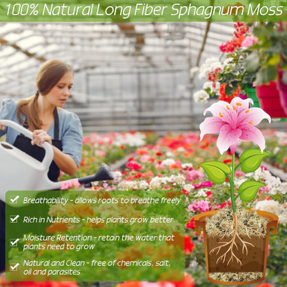 4 qt Sphagnum Moss for Indoor Plants, Natural Dried Long Fiber Moss for Orchid Repotting, Carnivorous Plants, Succulents, Monstera, Flower & Reptile Terrariums Habitats (3 oz)