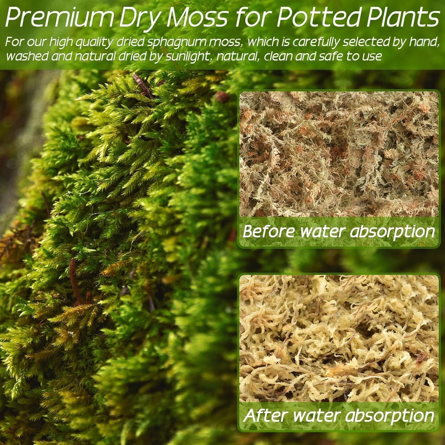 4 qt Sphagnum Moss for Indoor Plants, Natural Dried Long Fiber Moss for Orchid Repotting, Carnivorous Plants, Succulents, Monstera, Flower & Reptile Terrariums Habitats (3 oz)