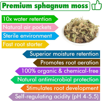 4 qt Sphagnum Moss for Indoor Plants, Natural Dried Long Fiber Moss for Orchid Repotting, Carnivorous Plants, Succulents, Monstera, Flower & Reptile Terrariums Habitats (3 oz)