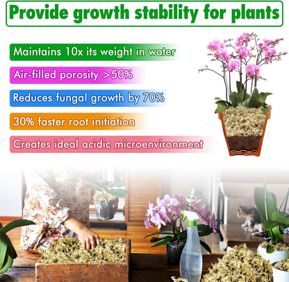 4 qt Sphagnum Moss for Indoor Plants, Natural Dried Long Fiber Moss for Orchid Repotting, Carnivorous Plants, Succulents, Monstera, Flower & Reptile Terrariums Habitats (3 oz)