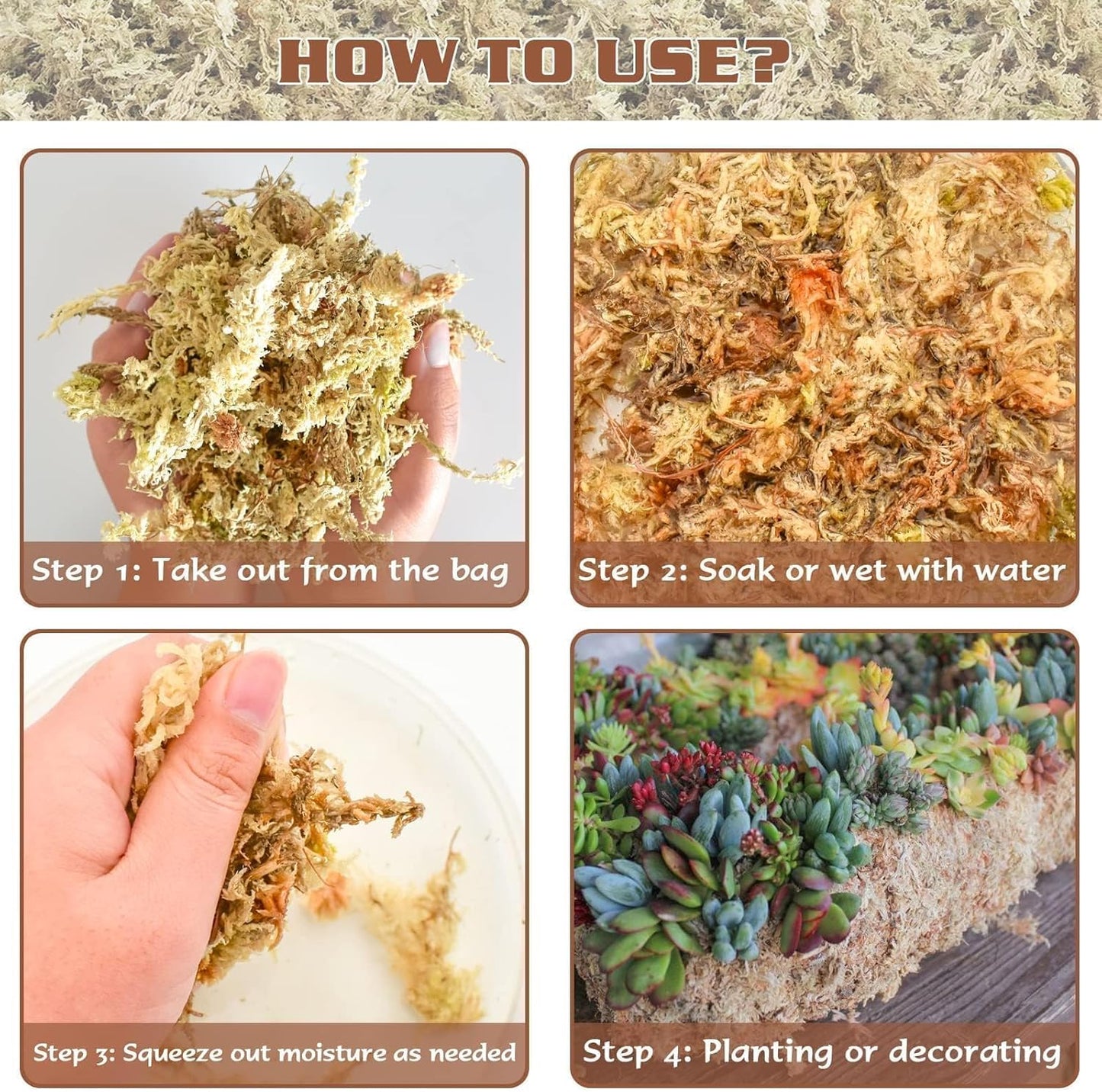 4 qt Sphagnum Moss for Indoor Plants, Natural Dried Long Fiber Moss for Orchid Repotting, Carnivorous Plants, Succulents, Monstera, Flower & Reptile Terrariums Habitats (3 oz)
