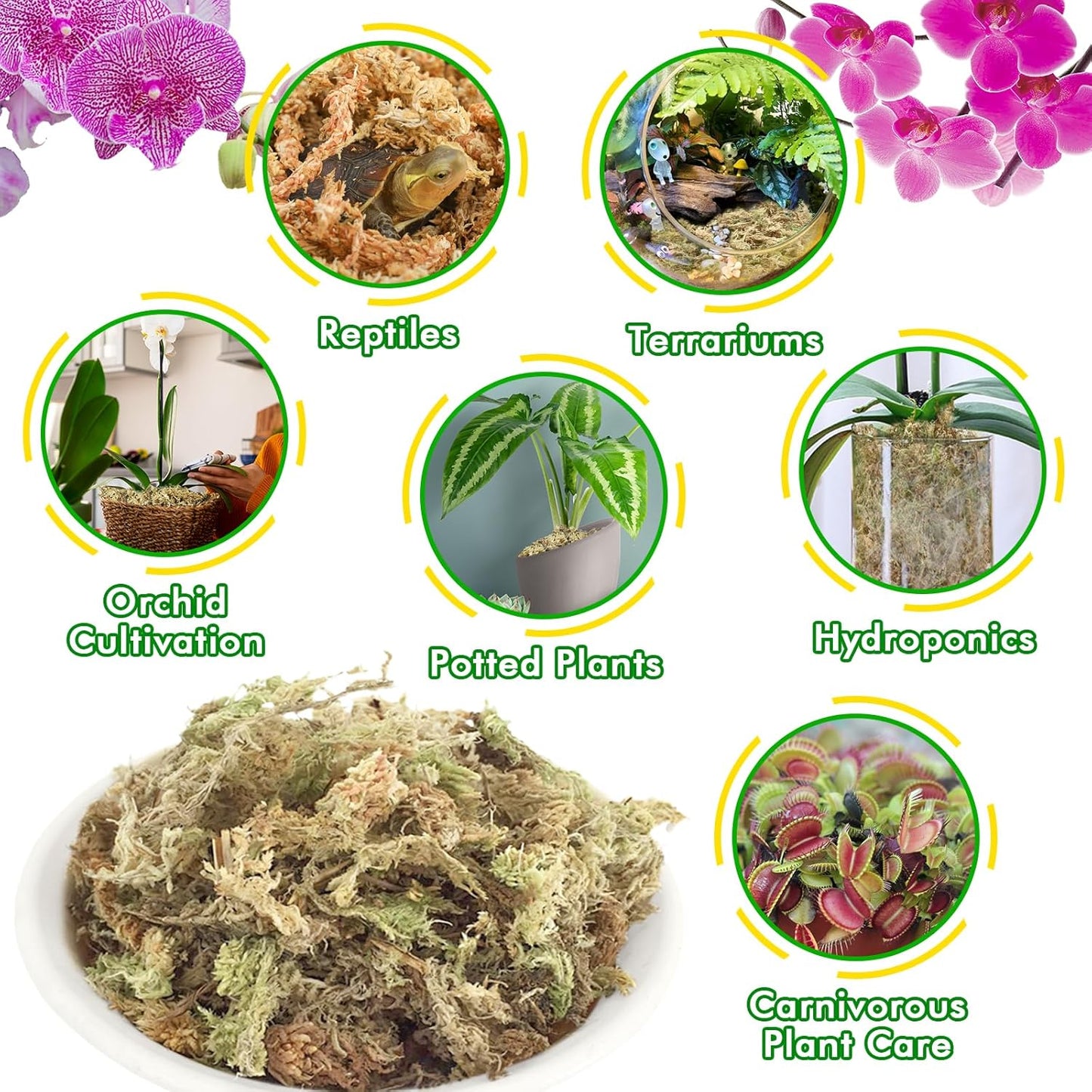 4 qt Sphagnum Moss for Indoor Plants, Natural Dried Long Fiber Moss for Orchid Repotting, Carnivorous Plants, Succulents, Monstera, Flower & Reptile Terrariums Habitats (3 oz)