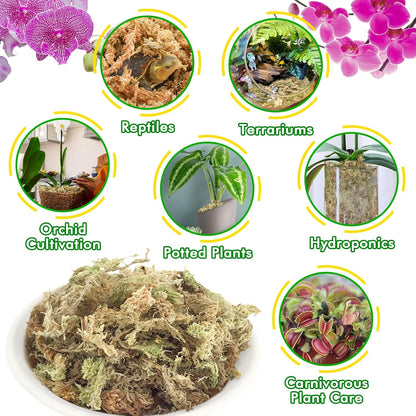 4 qt Sphagnum Moss for Indoor Plants, Natural Dried Long Fiber Moss for Orchid Repotting, Carnivorous Plants, Succulents, Monstera, Flower & Reptile Terrariums Habitats (3 oz)
