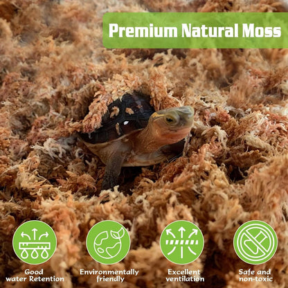 4 qt Sphagnum Moss for Indoor Plants, Natural Dried Long Fiber Moss for Orchid Repotting, Carnivorous Plants, Succulents, Monstera, Flower & Reptile Terrariums Habitats (3 oz)
