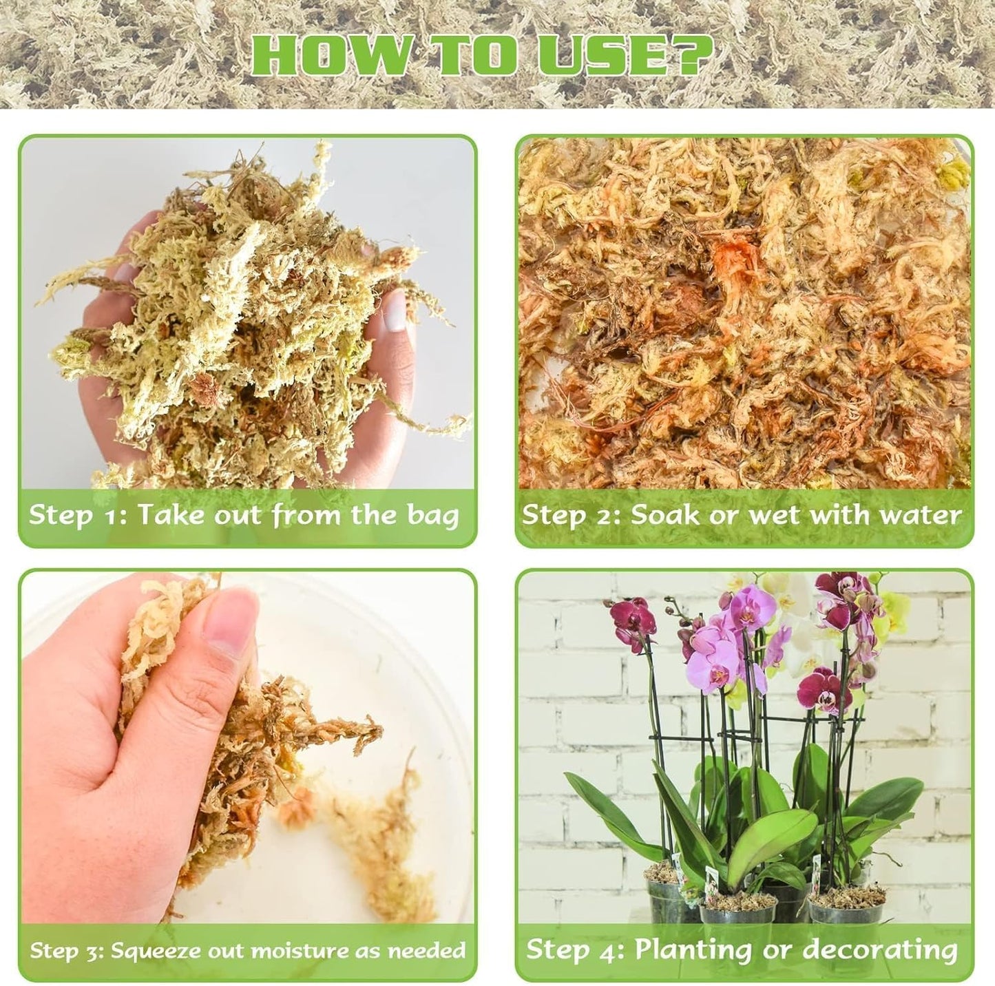 4 qt Sphagnum Moss for Indoor Plants, Natural Dried Long Fiber Moss for Orchid Repotting, Carnivorous Plants, Succulents, Monstera, Flower & Reptile Terrariums Habitats (3 oz)