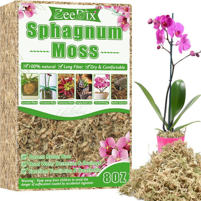 4 qt Sphagnum Moss for Indoor Plants, Natural Dried Long Fiber Moss for Orchid Repotting, Carnivorous Plants, Succulents, Monstera, Flower & Reptile Terrariums Habitats (3 oz)