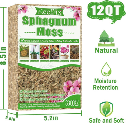 4 qt Sphagnum Moss for Indoor Plants, Natural Dried Long Fiber Moss for Orchid Repotting, Carnivorous Plants, Succulents, Monstera, Flower & Reptile Terrariums Habitats (3 oz)