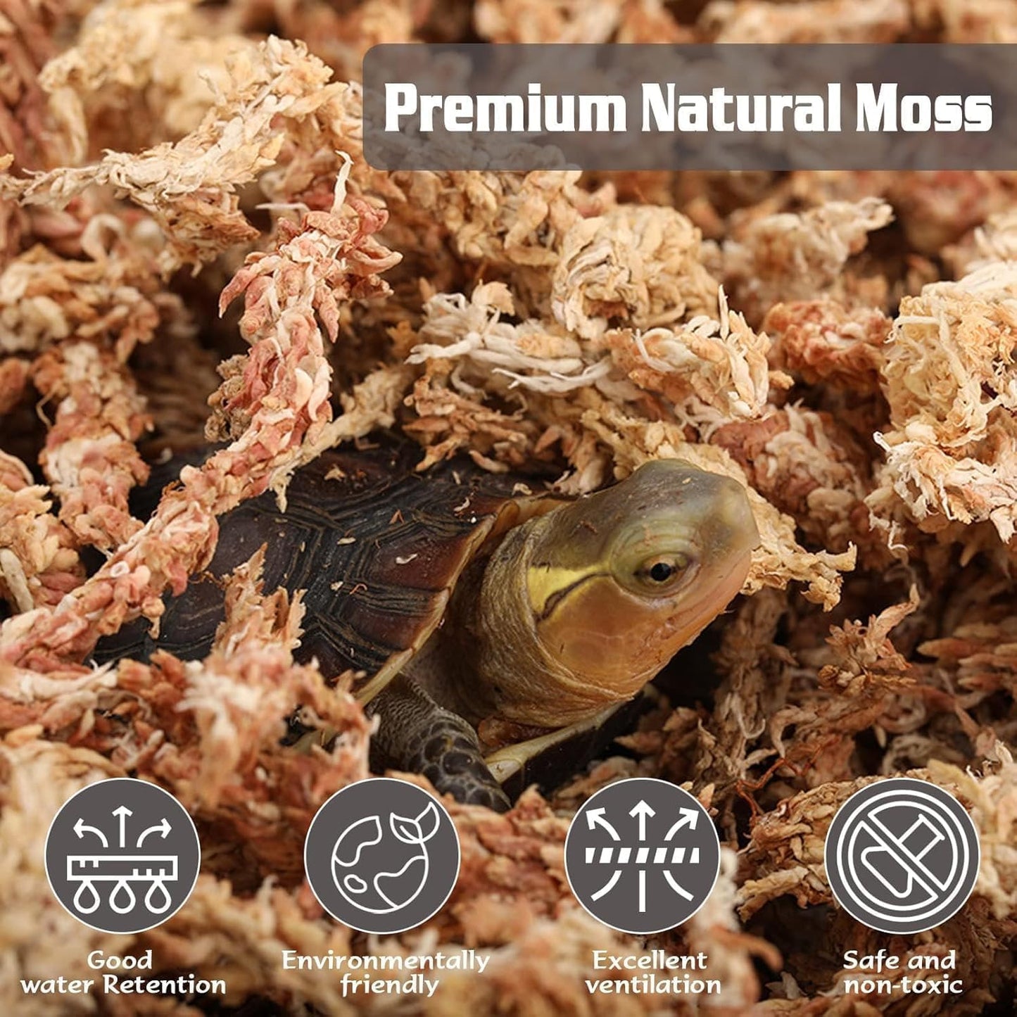 4 qt Sphagnum Moss for Indoor Plants, Natural Dried Long Fiber Moss for Orchid Repotting, Carnivorous Plants, Succulents, Monstera, Flower & Reptile Terrariums Habitats (3 oz)