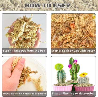 4 qt Sphagnum Moss for Indoor Plants, Natural Dried Long Fiber Moss for Orchid Repotting, Carnivorous Plants, Succulents, Monstera, Flower & Reptile Terrariums Habitats (3 oz)
