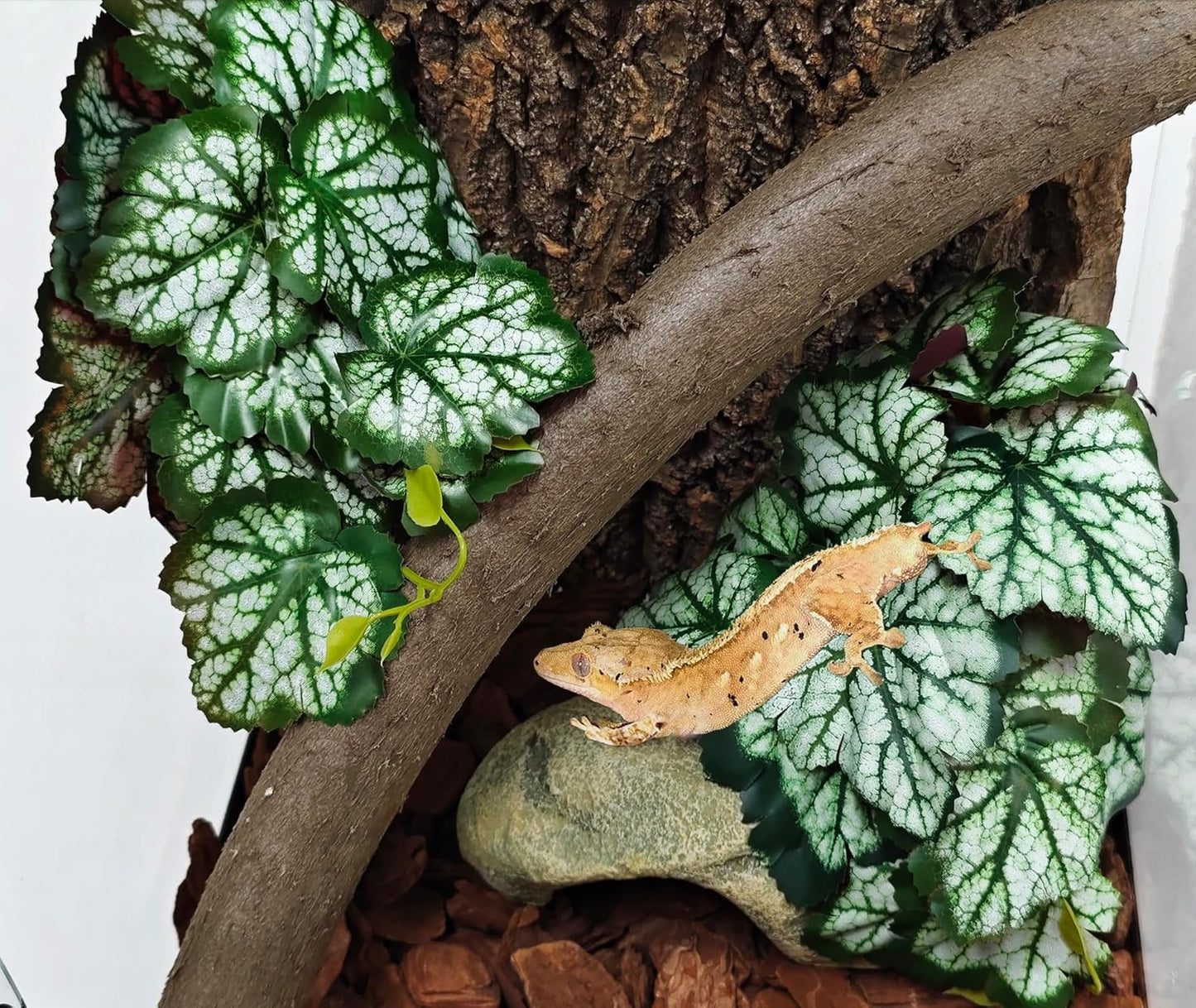 Reptile Plants, Terrarium Hanging Plant Vines, Artificial Leaves with Suction Cup, Bearded Dragon Tank Accessories for Gecko Lizard Snake Frog Tortoise Decorations - Alocasia Velvet