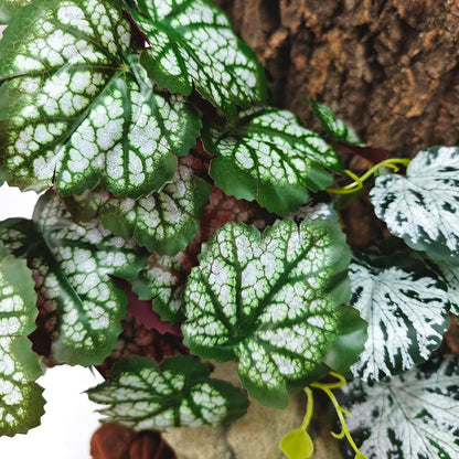 Reptile Plants, Terrarium Hanging Plant Vines, Artificial Leaves with Suction Cup, Bearded Dragon Tank Accessories for Gecko Lizard Snake Frog Tortoise Decorations - Alocasia Velvet