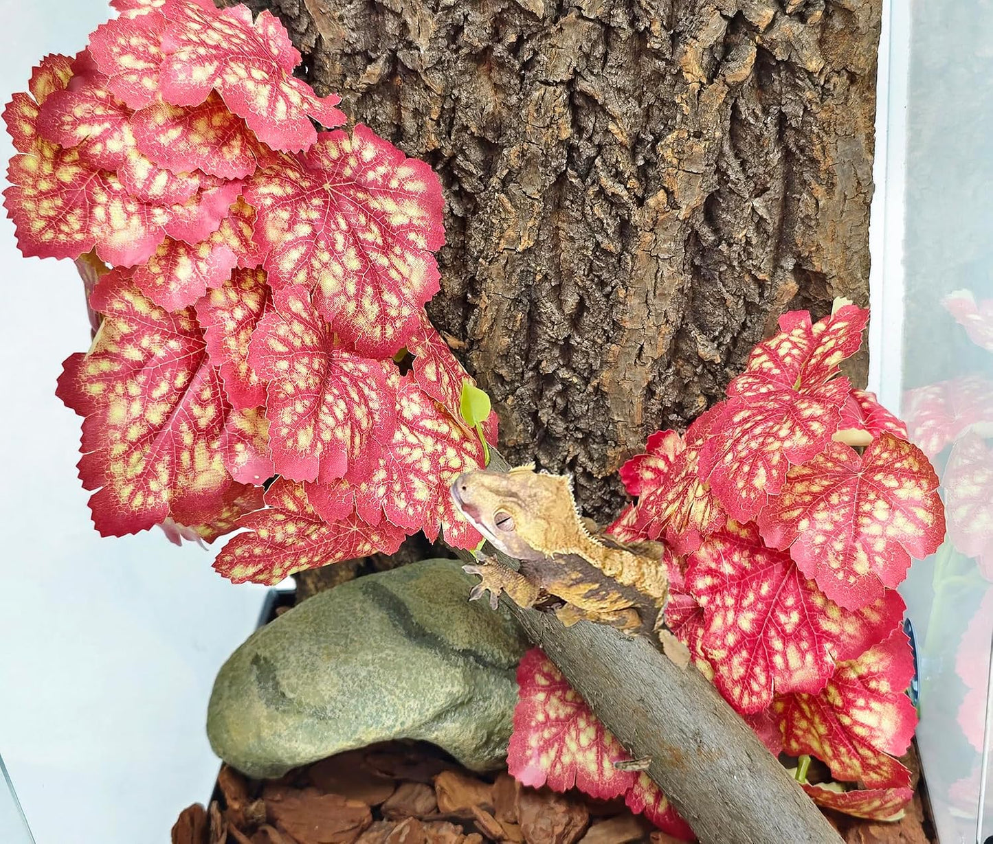 Reptile Plants, Terrarium Hanging Plant Vines, Artificial Leaves with Suction Cup, Bearded Dragon Tank Accessories for Gecko Lizard Snake Frog Tortoise Decorations - Alocasia Velvet