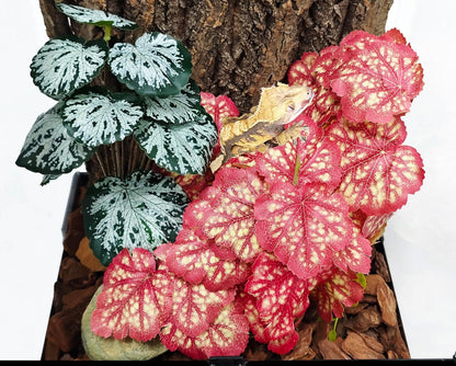 Reptile Plants, Terrarium Hanging Plant Vines, Artificial Leaves with Suction Cup, Bearded Dragon Tank Accessories for Gecko Lizard Snake Frog Tortoise Decorations - Alocasia Velvet