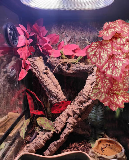 Reptile Plants, Terrarium Hanging Plant Vines, Artificial Leaves with Suction Cup, Bearded Dragon Tank Accessories for Gecko Lizard Snake Frog Tortoise Decorations - Alocasia Velvet