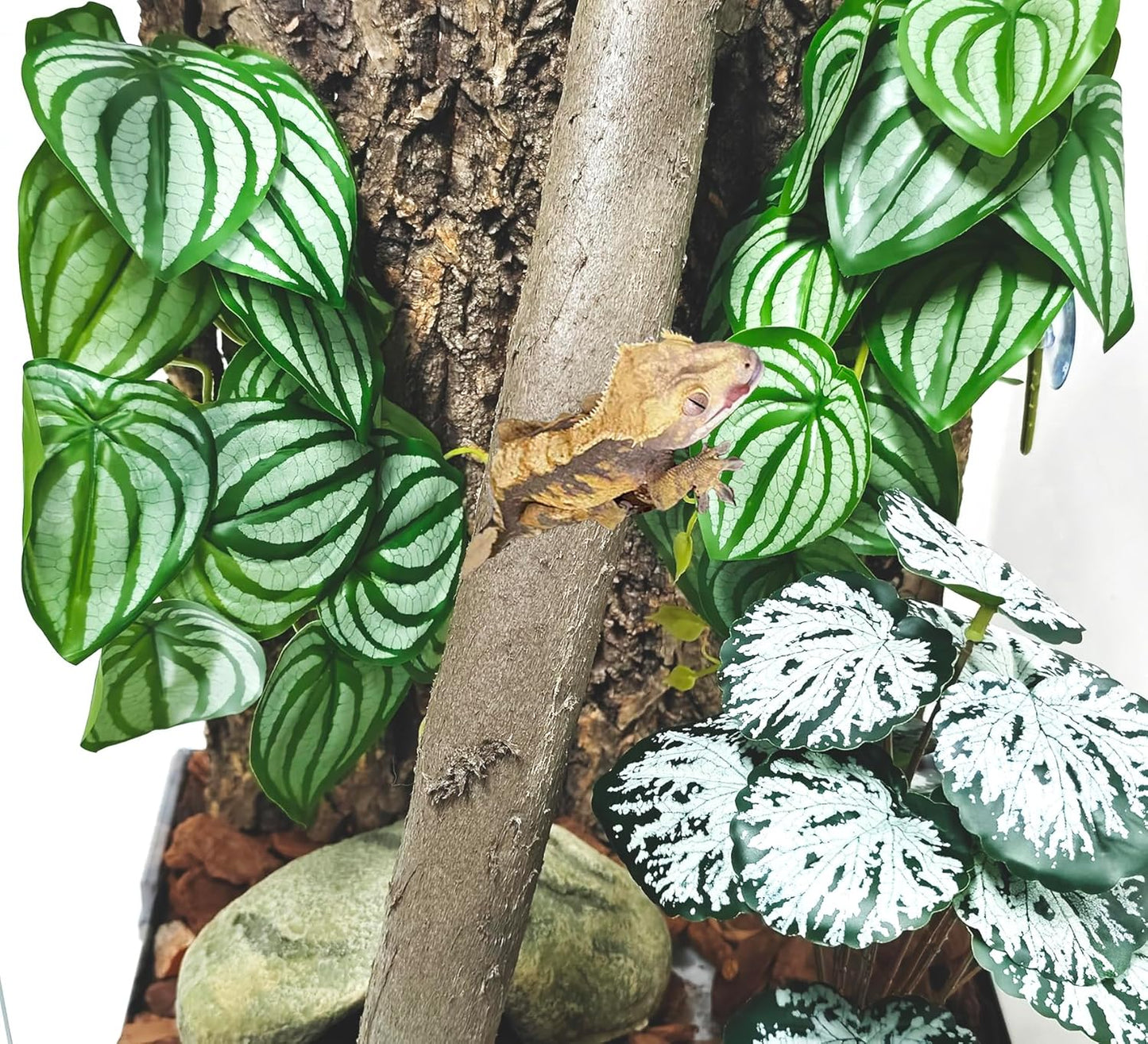 Reptile Plants, Terrarium Hanging Plant Vines, Artificial Leaves with Suction Cup, Bearded Dragon Tank Accessories for Gecko Lizard Snake Frog Tortoise Decorations - Alocasia Velvet