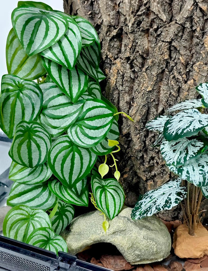 Reptile Plants, Terrarium Hanging Plant Vines, Artificial Leaves with Suction Cup, Bearded Dragon Tank Accessories for Gecko Lizard Snake Frog Tortoise Decorations - Alocasia Velvet