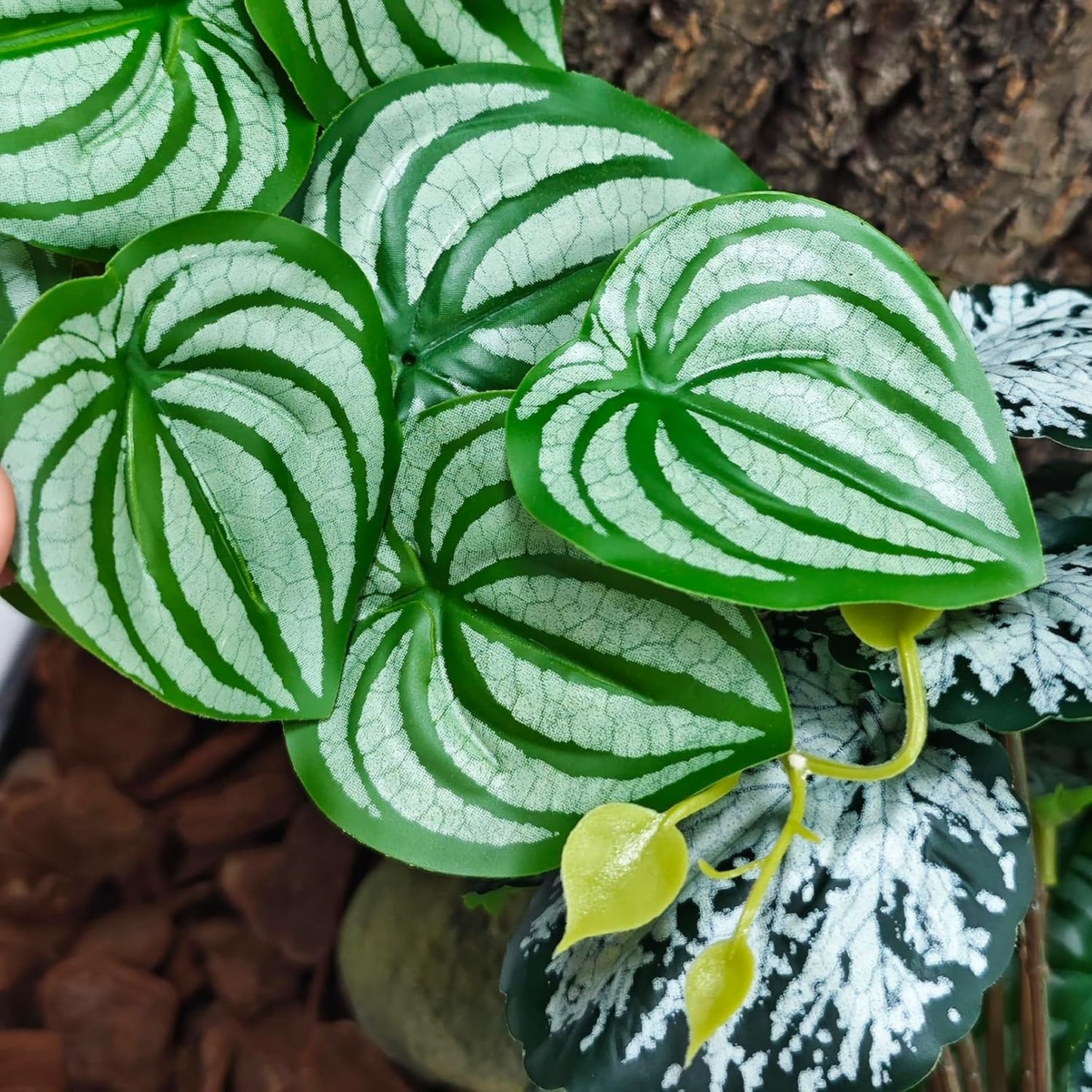 Reptile Plants, Terrarium Hanging Plant Vines, Artificial Leaves with Suction Cup, Bearded Dragon Tank Accessories for Gecko Lizard Snake Frog Tortoise Decorations - Alocasia Velvet