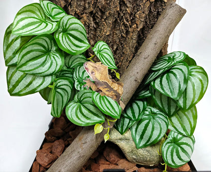 Reptile Plants, Terrarium Hanging Plant Vines, Artificial Leaves with Suction Cup, Bearded Dragon Tank Accessories for Gecko Lizard Snake Frog Tortoise Decorations - Alocasia Velvet