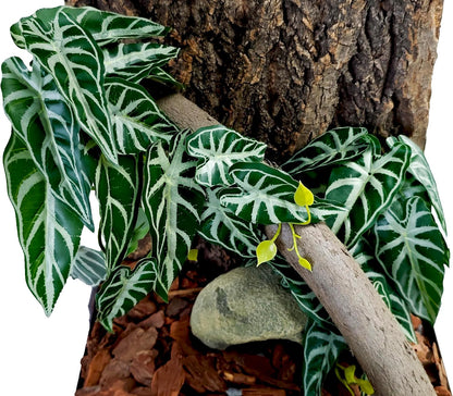 Reptile Plants, Terrarium Hanging Plant Vines, Artificial Leaves with Suction Cup, Bearded Dragon Tank Accessories for Gecko Lizard Snake Frog Tortoise Decorations - Alocasia Velvet