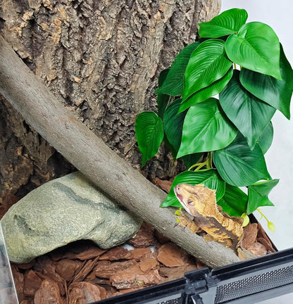 Reptile Plants, Terrarium Hanging Plant Vines, Artificial Leaves with Suction Cup, Bearded Dragon Tank Accessories for Gecko Lizard Snake Frog Tortoise Decorations - Alocasia Velvet